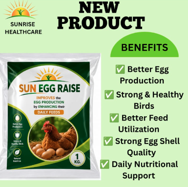 Sun Egg Raise